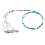 [TCM-12PSCUM1-5] Tconnect Fiber Pigtail SC Multimode 12 Fiber 62.5/125µm (OM1) 5m